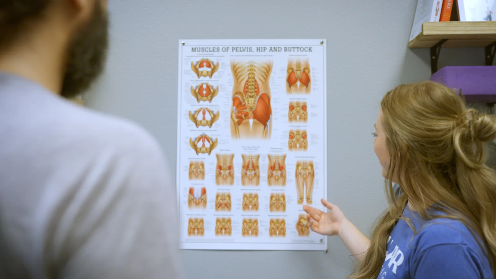 A physical therapist pointing out the pelvic floor muscles on a wall chart to a male patient