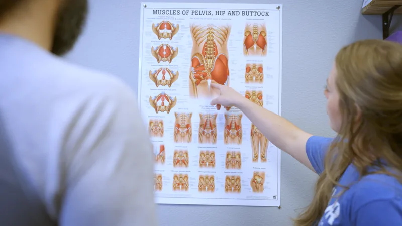 A physical therapist pointing to the muscles of the pelvis on an anatomy chart while a patient looks on